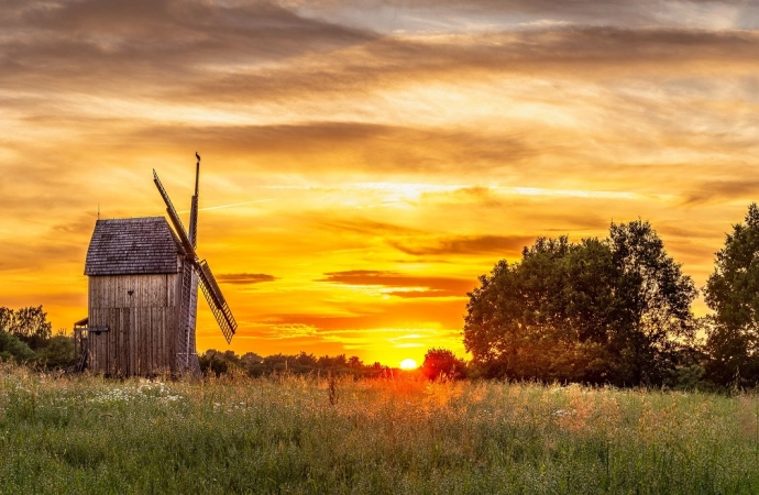 Za chwilę Regionalne Święto Ziół